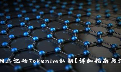 如何找回忘记的Tokenim私钥?详细指南与注意事项