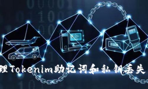 如何处理Tokenim助记词和私钥丢失的情况?