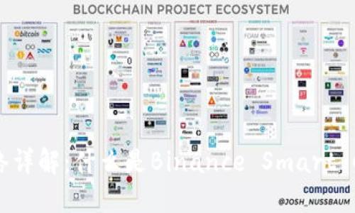虚拟币BSC网络详解：什么是Binance Smart Chain及其优势