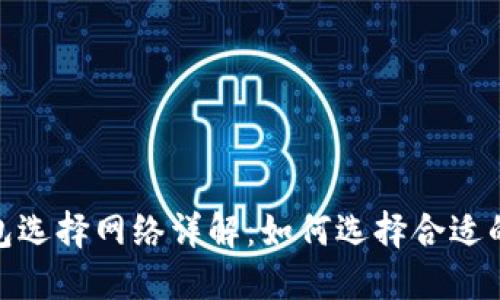 数字货币钱包选择网络详解：如何选择合适的区块链网络