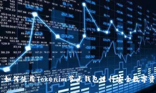 全攻略:如何使用Tokenim节点钱包进行安全数字资产管理