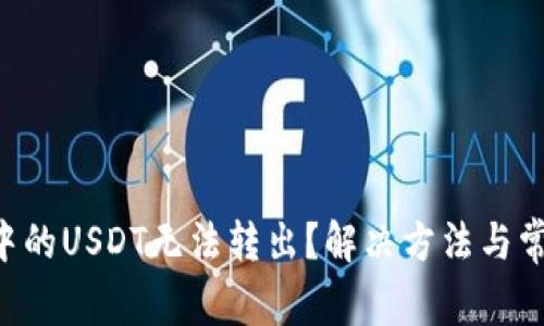 TRUST钱包中的USDT无法转出？解决方法与常见问题解析