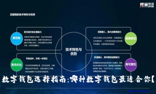 数字钱包选择指南:哪种数字钱包最适合你?