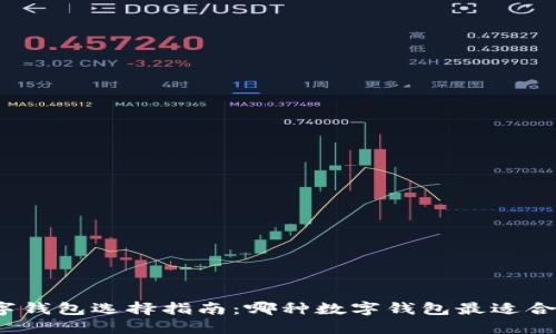 数字钱包选择指南:哪种数字钱包最适合你?