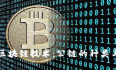 探秘区块链技术：公链的