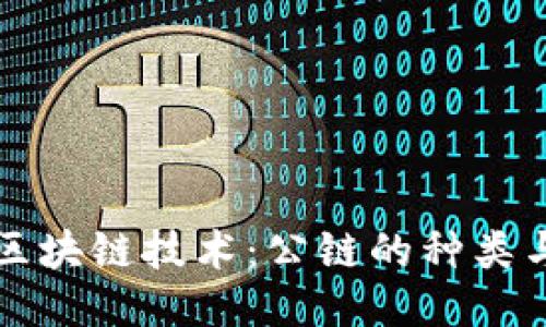探秘区块链技术:公链的种类与应用