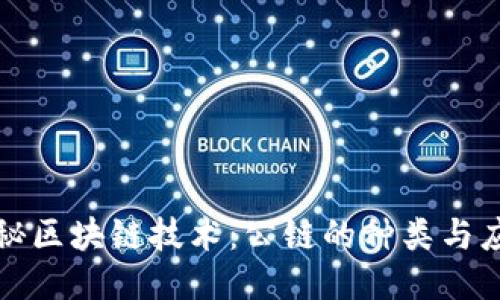 探秘区块链技术:公链的种类与应用