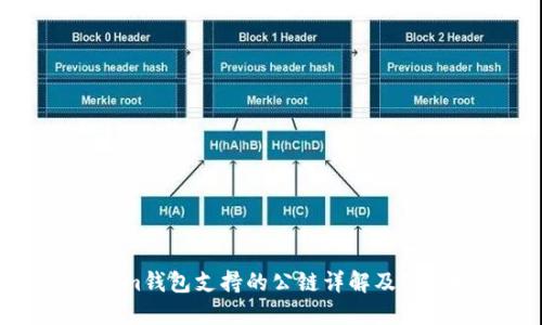 Tokenim钱包支持的公链详解及使用指南