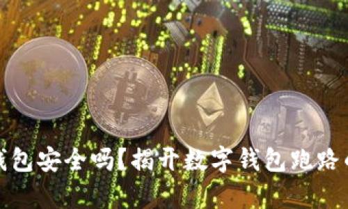 数字钱包安全吗?揭开数字钱包跑路的真相