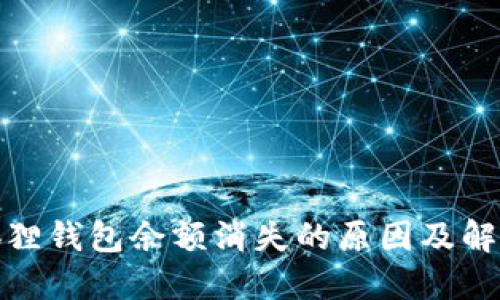 : 小狐狸钱包余额消失的原因及解决方法