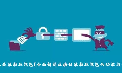 什么是波拉丝钱包？全面解析区块链波拉丝钱包的功能与优势