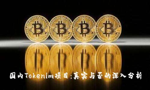 国内Tokenim项目：真实与否的深入分析