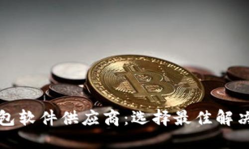 数字货币钱包软件供应商:选择最佳解决方案的指南