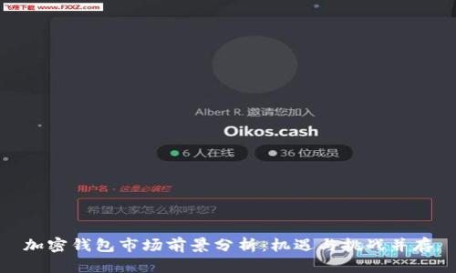 加密钱包市场前景分析:机遇与挑战并存
