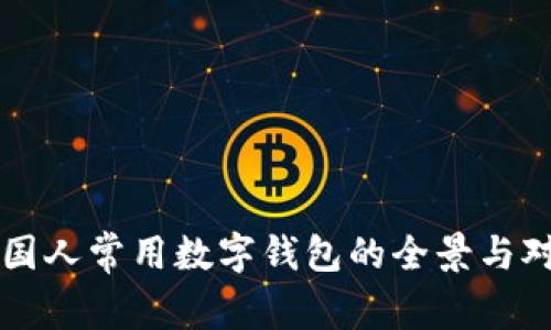 美国人常用数字钱包的全景与对比