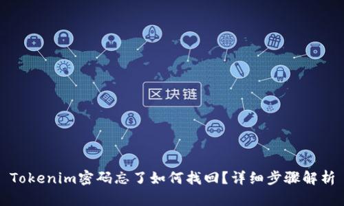 Tokenim密码忘了如何找回？详细步骤解析