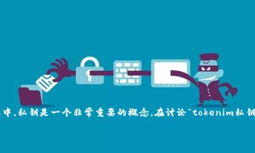 在加密货币和区块链领域,尤其是与钱包和私钥相关的内容中,私钥是一个非常重要的概念。在讨论“tokenim私钥分大小写吗”这个问题时,我们可以深入探讨以下几个方面。
### tokenim私钥是否区分大小写:完全指南
