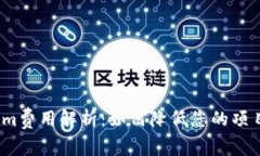 Tokenim费用解析：如何降低