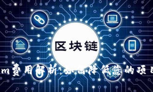 Tokenim费用解析：如何降低您的项目成本？