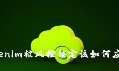 Tokenim被风控锁定该如何应对？