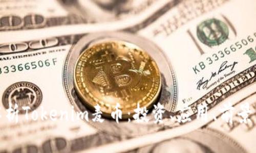 全面解析Tokenim麦币:投资、应用、前景与风险