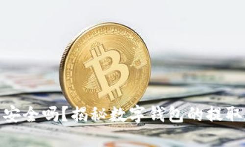 数字钱包安全吗？揭秘数字钱包的提取和安全性