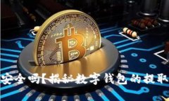 数字钱包安全吗？揭秘数