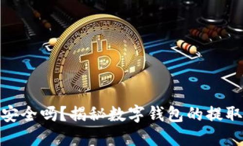 数字钱包安全吗？揭秘数字钱包的提取和安全性