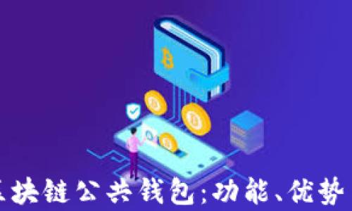 全面解析区块链公共钱包:功能、优势与使用指南