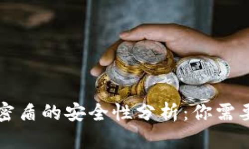 虚拟币钱包密盾的安全性分析:你需要知道的一切