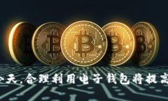 biao ti电子钱包使用指南：