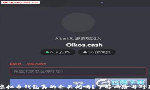 
虚拟币钱包真的会关闭吗？了解风险与对策