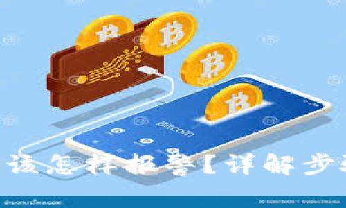 tokenim被盗该怎样报警?详解步骤与注意事项