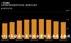 2023年安币交易市场全景分