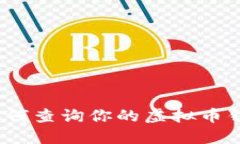 全面指南：如何查询你的