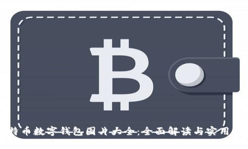 比特币数字钱包图片大全:全面解读与实用指南