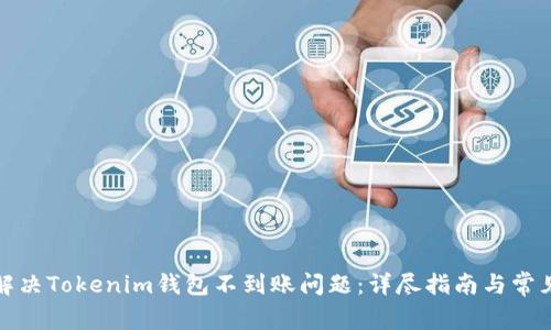 如何解决Tokenim钱包不到账问题:详尽指南与常见问答