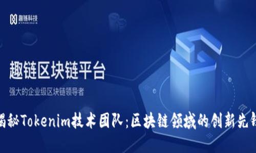 揭秘Tokenim技术团队：区块链领域的创新先锋