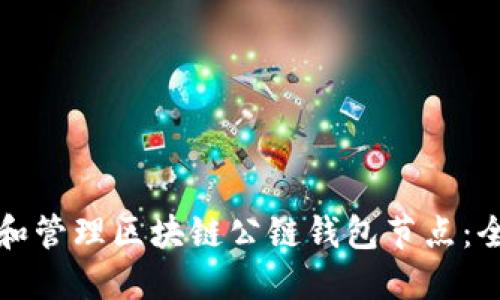 如何选择和管理区块链公链钱包节点:全方位指南