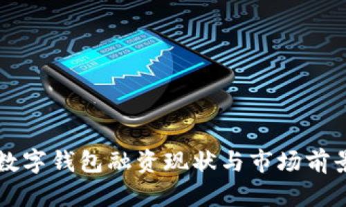美国数字钱包融资现状与市场前景分析