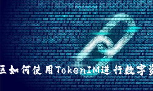 大陆地区如何使用TokenIM进行数字资产管理
