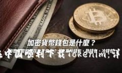 如何在中国顺利下载Toke