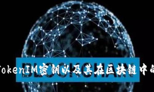 什么是TokenIM密钥以及其在区块链中的重要性