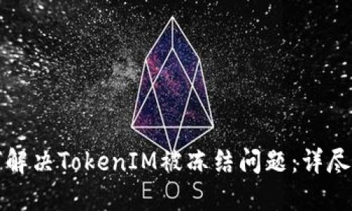 如何解决TokenIM被冻结问题:详尽指南
