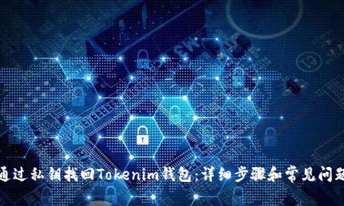 如何通过私钥找回Tokenim钱包:详细步骤和常见问题解答