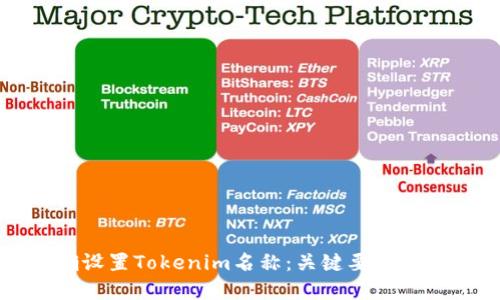 如何正确设置Tokenim名称：关键要素和最佳实践