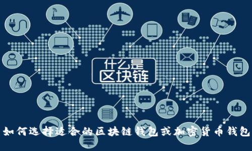 如何选择适合的区块链钱包或加密货币钱包