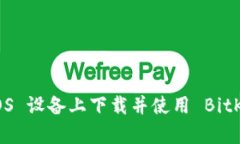 如何在 iOS 设备上下载并使