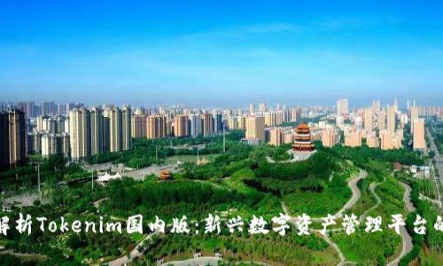 全面解析Tokenim国内版：新兴数字资产管理平台的崛起