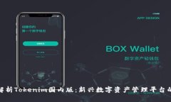 全面解析Tokenim国内版：新